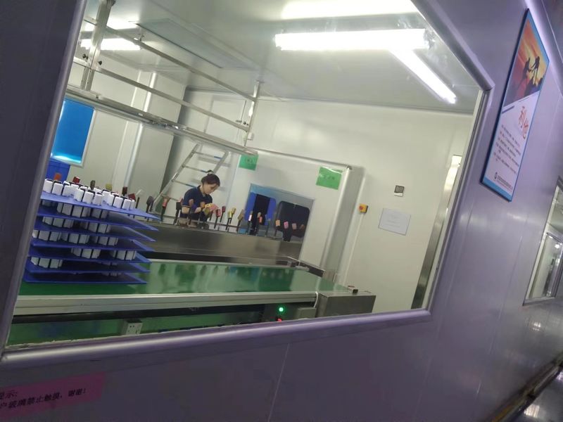 Dongguan JoonPang Plastic Mold Co., Ltd. ligne de production du fabricant